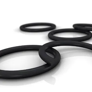 O-rings